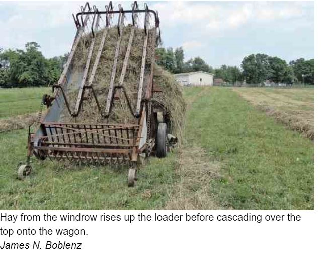 Hay Making StrongsPage